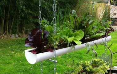 Gutter Garden Ideas fi