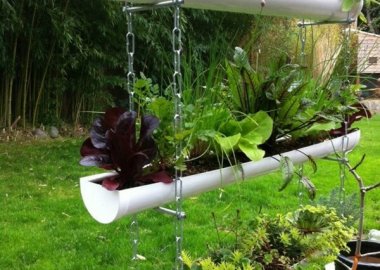 Gutter Garden Ideas fi