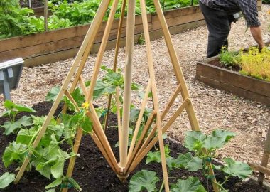 Recycled Trellis Ideas fi