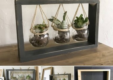 Succulent Planter fi