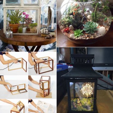 These DIY Terrariums are Simply Stunning