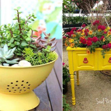 spring planters