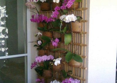 Ideas to Design a Vertical Garden