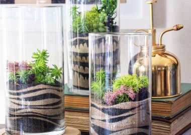 diy terrarium