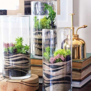 diy terrarium