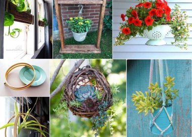 DIY Hanging Planter