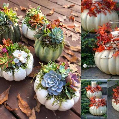 DIY Pumpkin Crafts