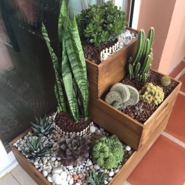 Tiered Planter Ideas