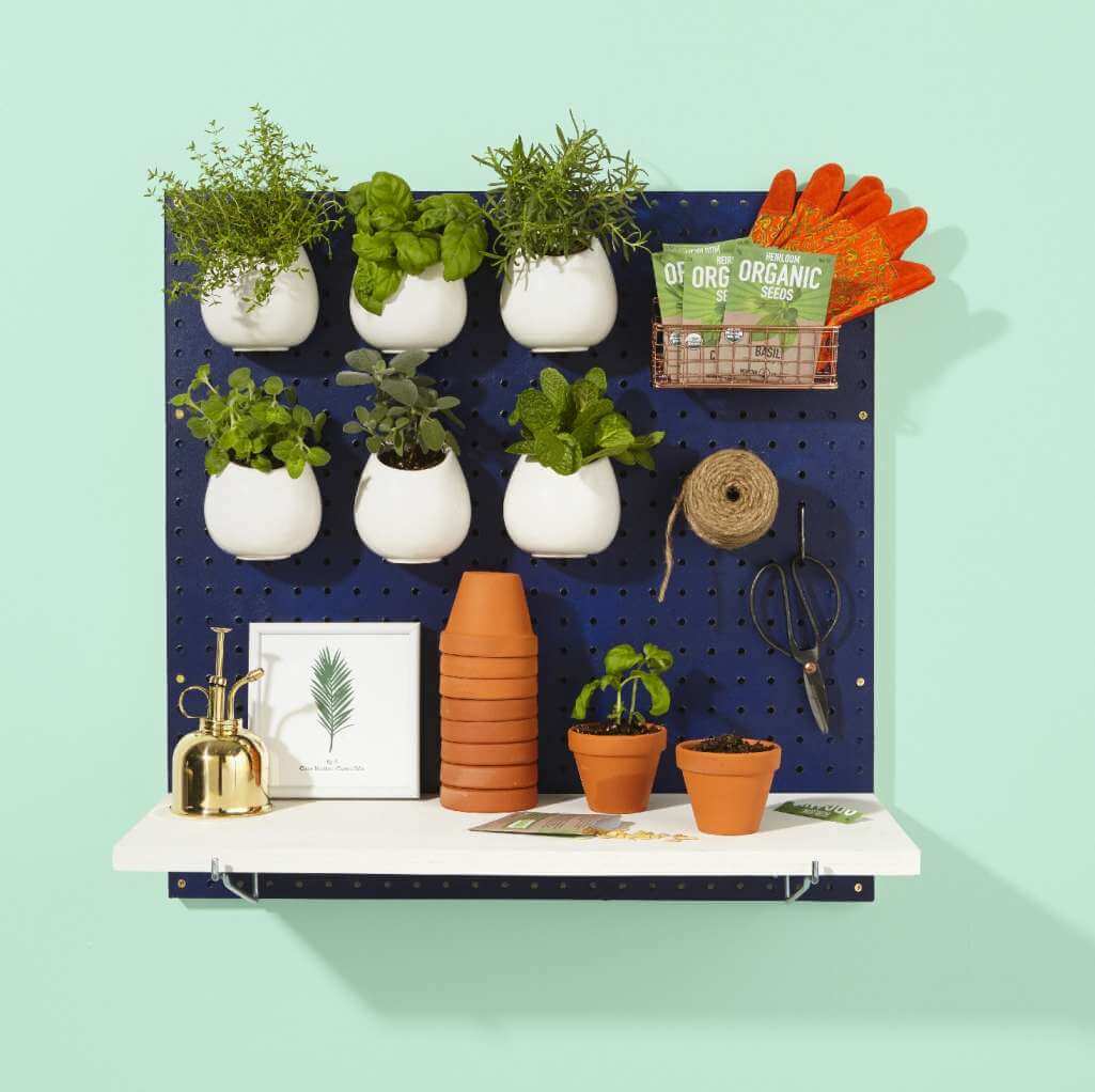 10 Amazing Indoor Kitchen Herb Gardens