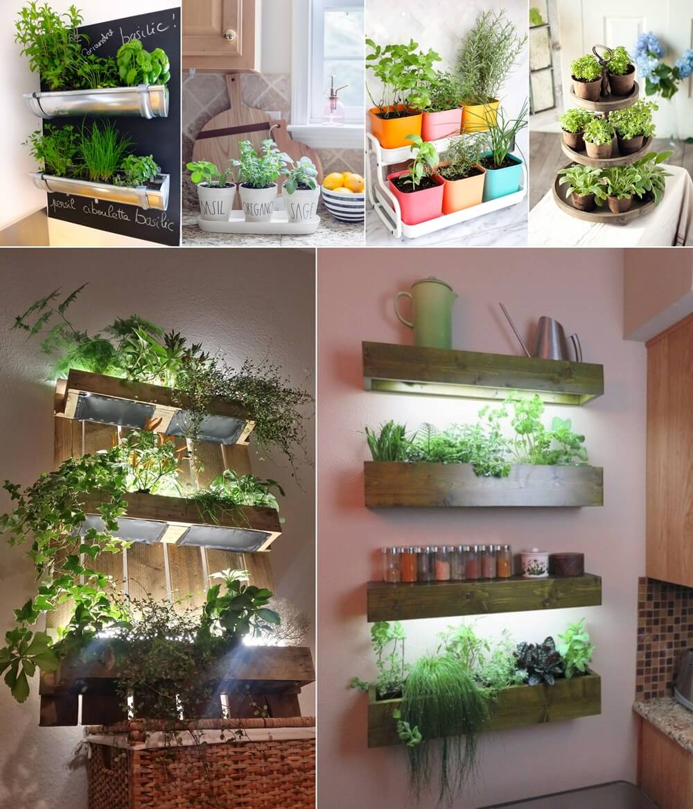 10 Amazing Indoor Kitchen Herb Gardens