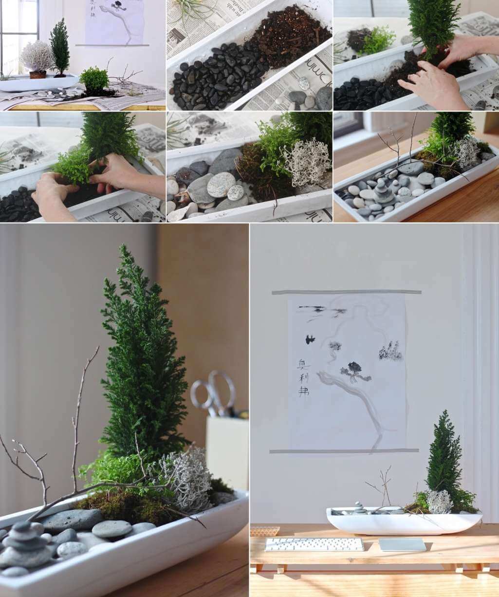 Inspiring Tabletop Garden Ideas