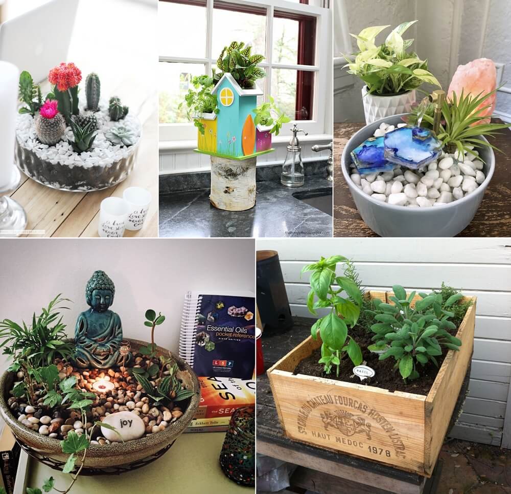Inspiring Tabletop Garden Ideas, Mini Tabletop Garden Ideas