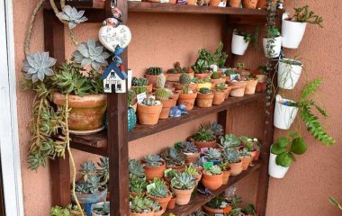 Wooden Shelves