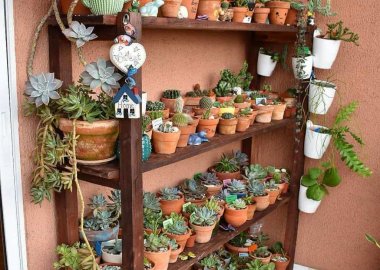 Wooden Shelves