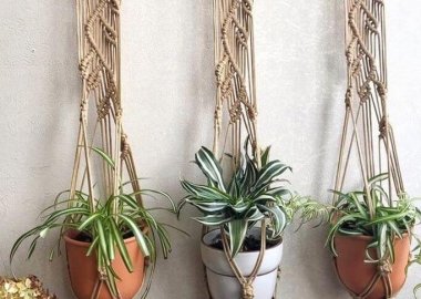 Ways to Hang Plants