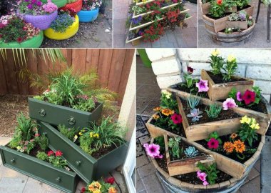 Tiered Planter Ideas