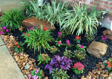 Rock Garden Ideas