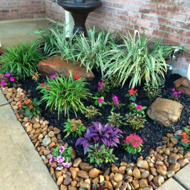 Rock Garden Ideas