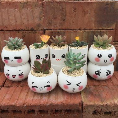 Cute Planter Ideas