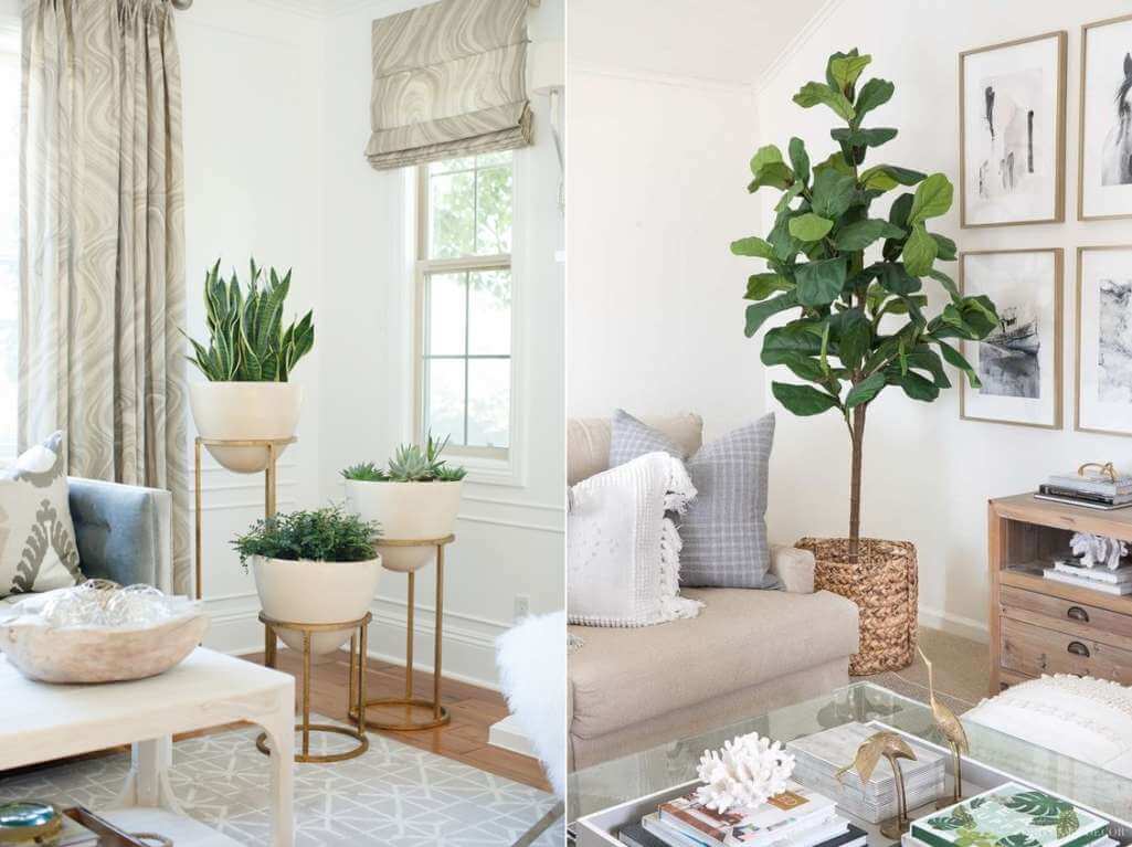 corner plant accents living room