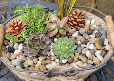 burlap planter