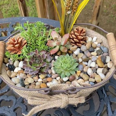 burlap planter