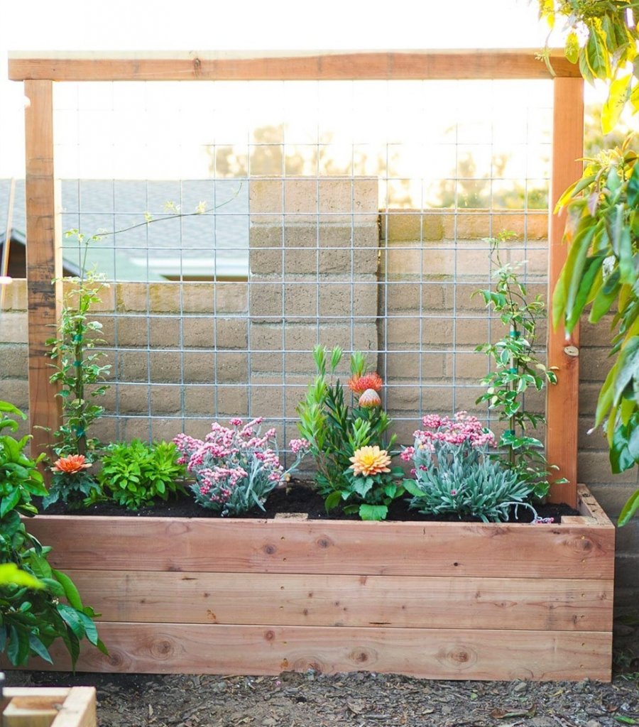 DIY Garden Trellis Ideas