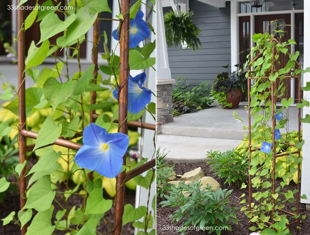 DIY Garden Trellis Ideas