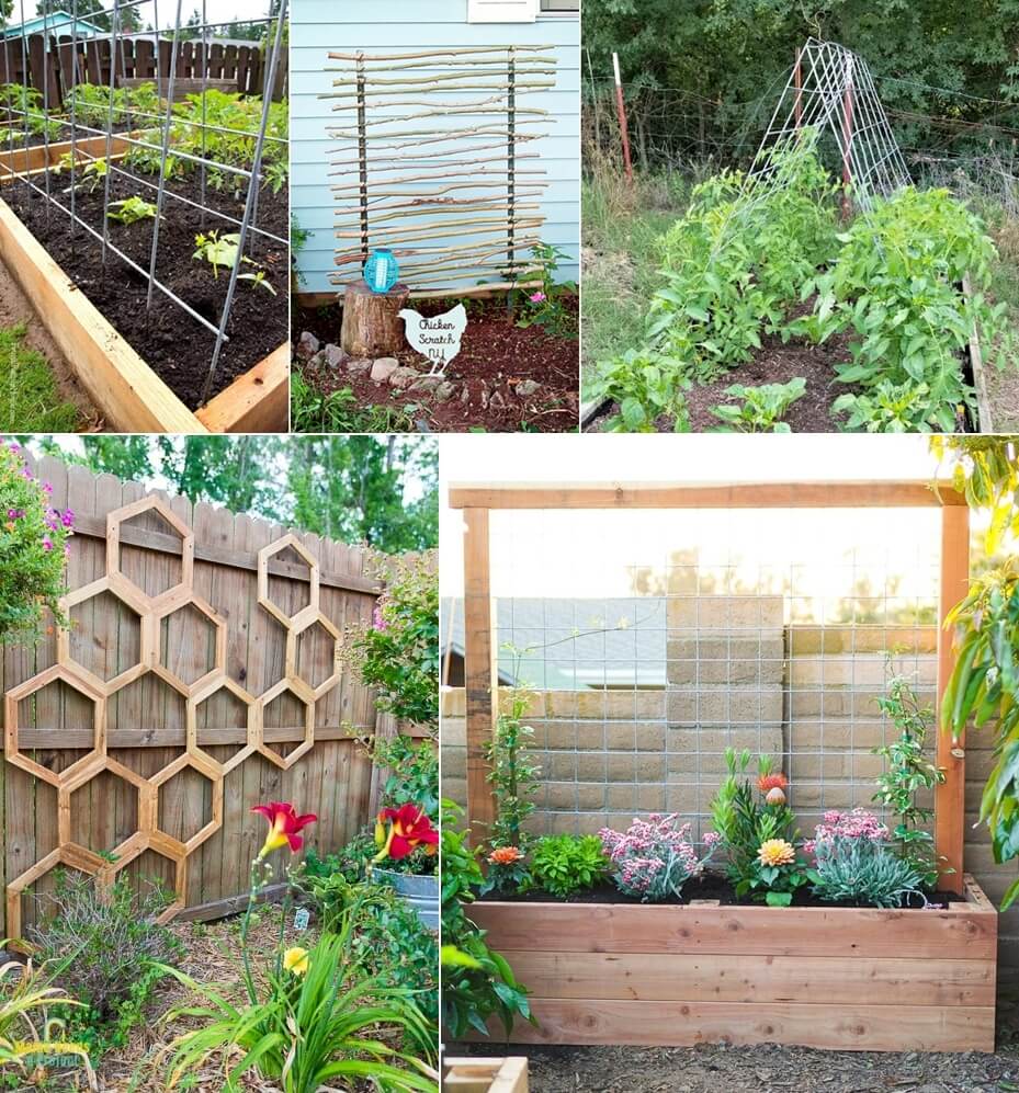 DIY Garden Trellis Ideas