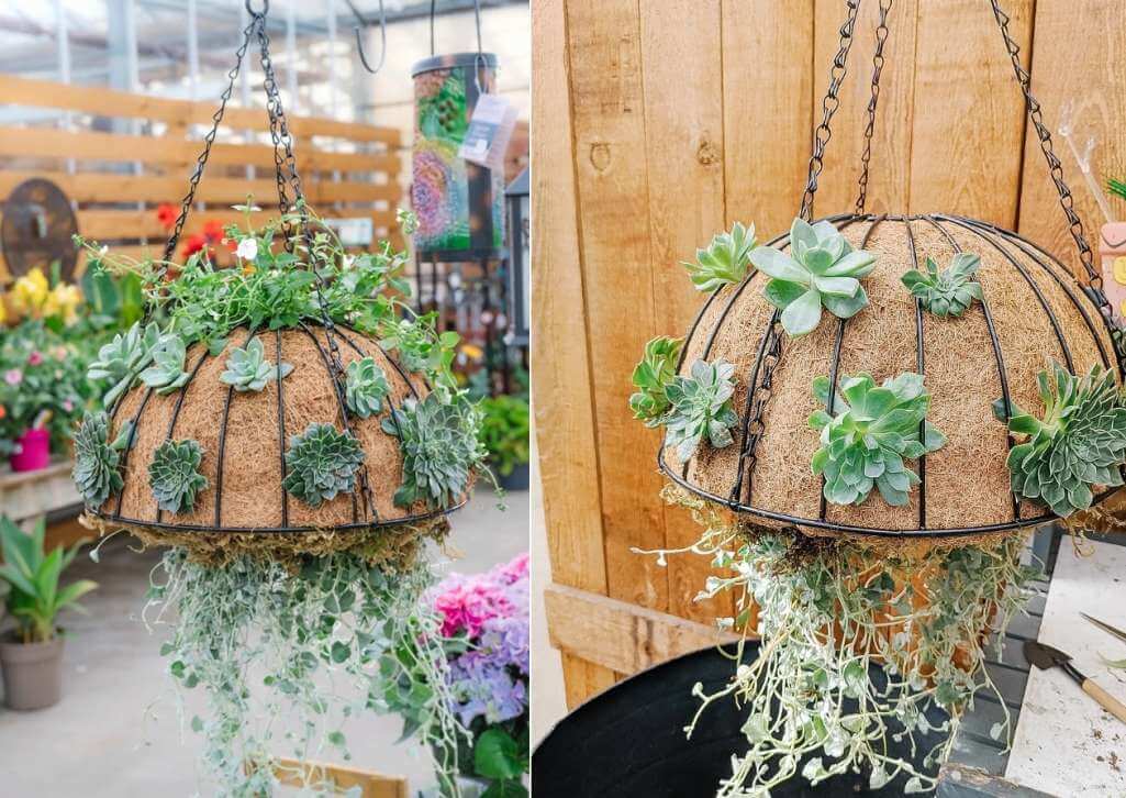 Hanging Flower Basket Ideas