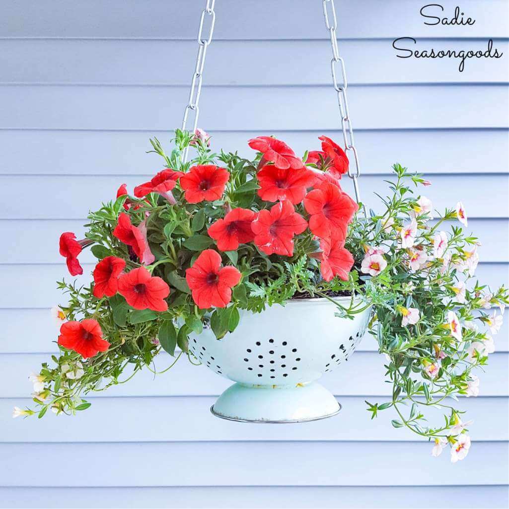 Hanging Flower Basket Ideas