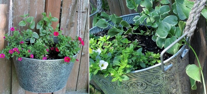 Hanging Flower Basket Ideas