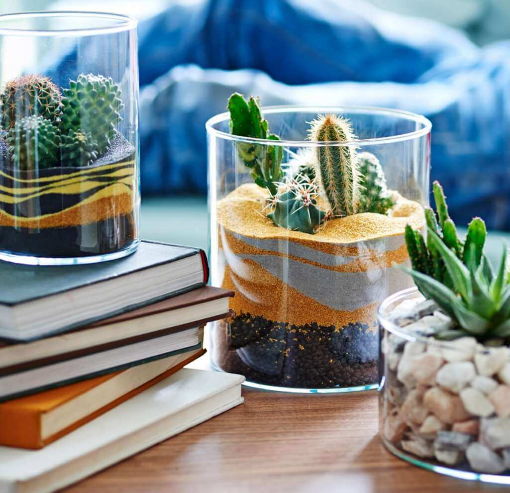 Succulent Centrepiece Ideas