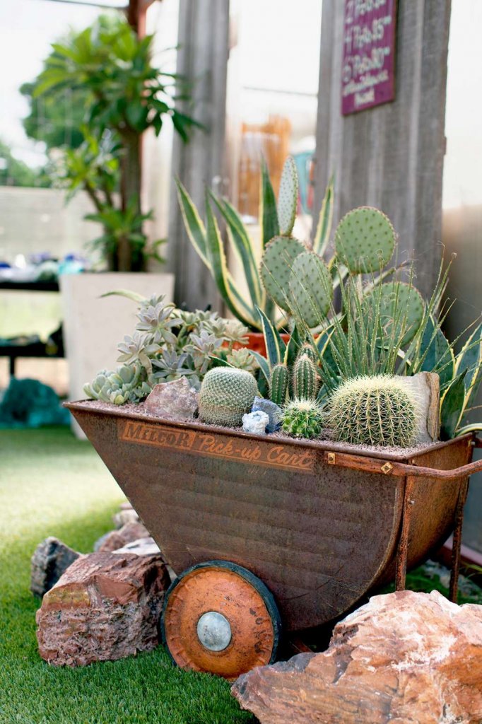 Cactus and Succulent Garden Ideas