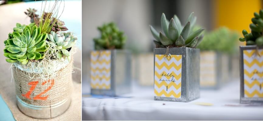 Succulent Centrepiece Ideas