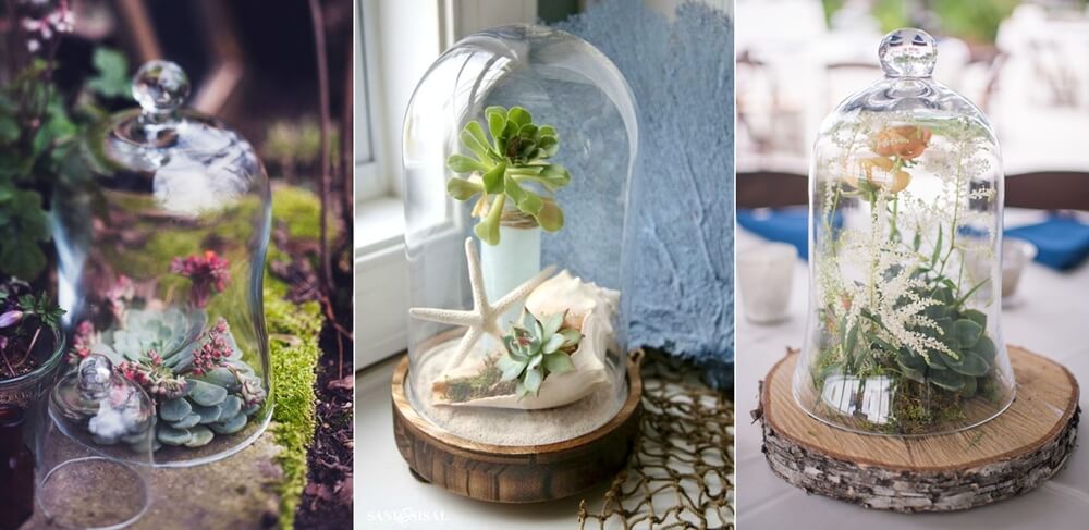 Succulent Centrepiece Ideas