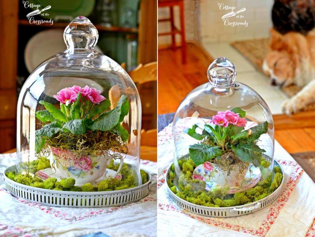 Ways to Style a Glass Cloche