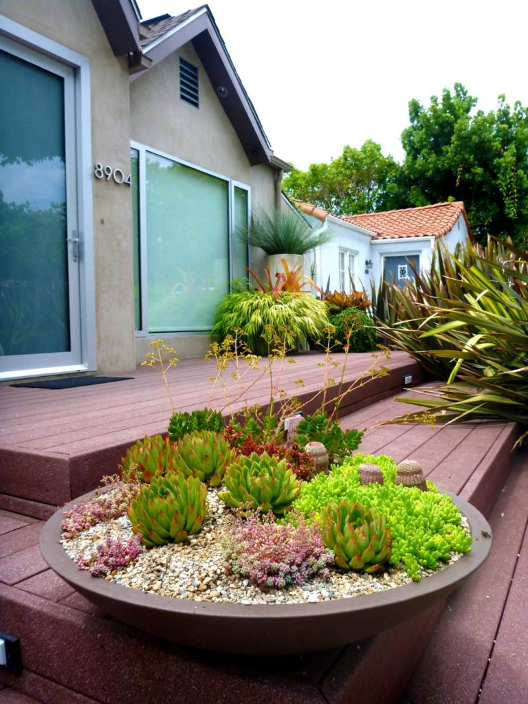 Cactus and Succulent Garden Ideas