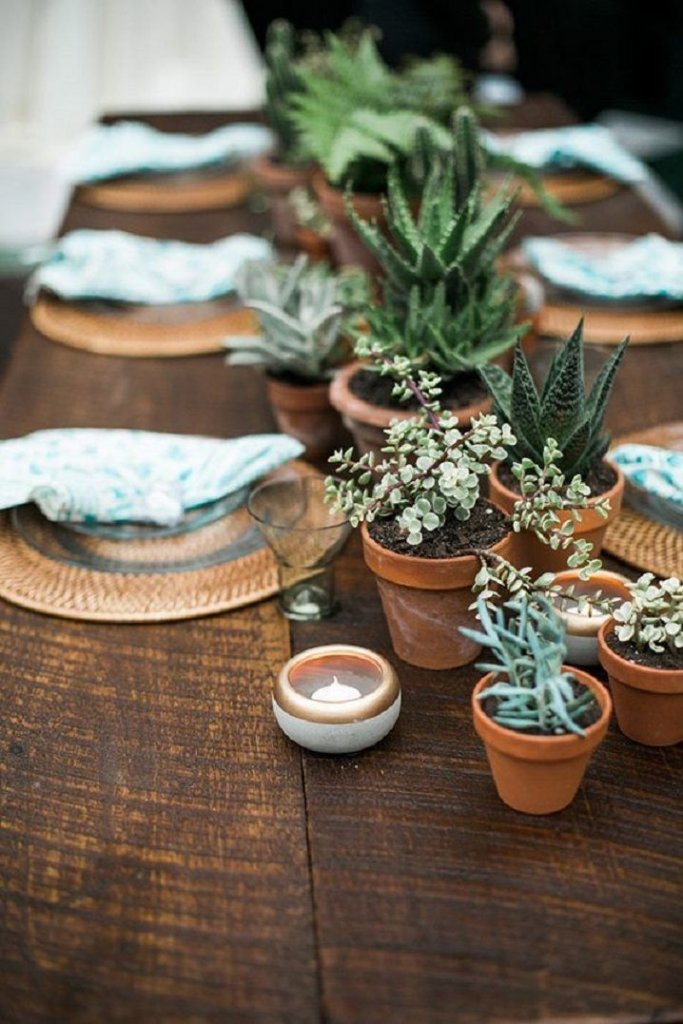 Succulent Centrepiece Ideas