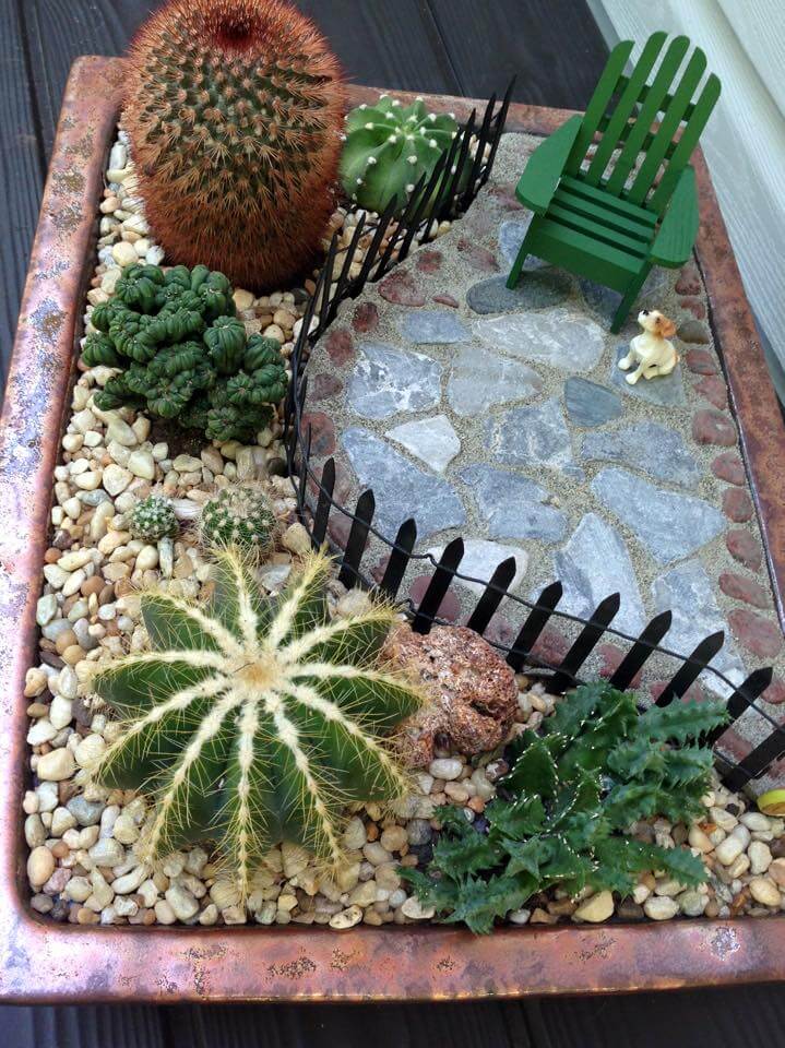 Cactus and Succulent Garden Ideas