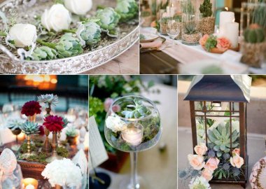 Succulent Centrepiece Ideas