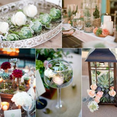 Succulent Centrepiece Ideas