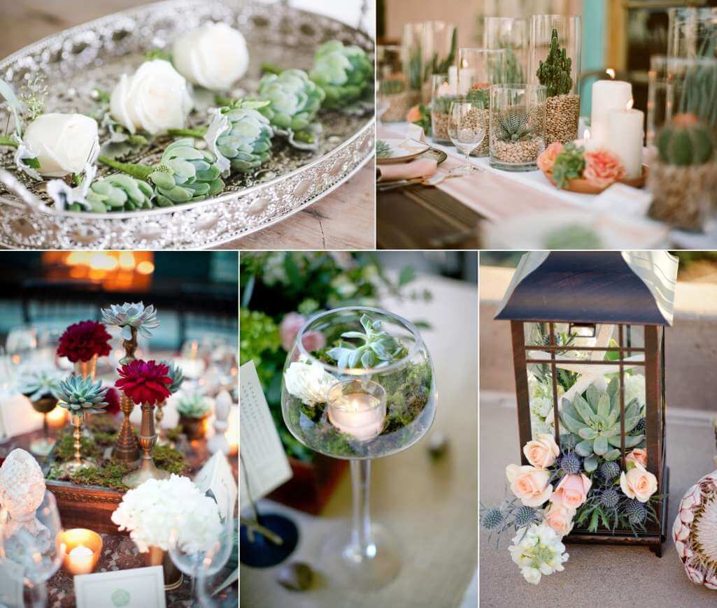 Succulent Centrepiece Ideas