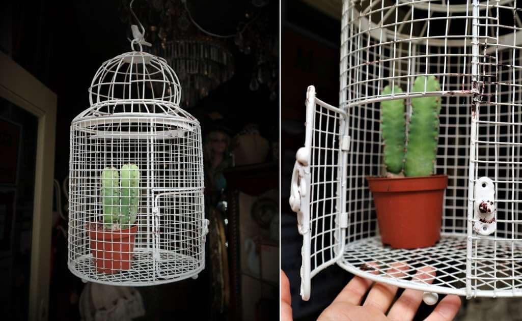 Birdcage Home Decor Ideas 