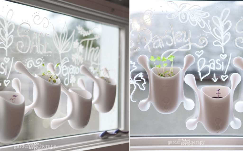 Window Sill Herb Garden Ideas