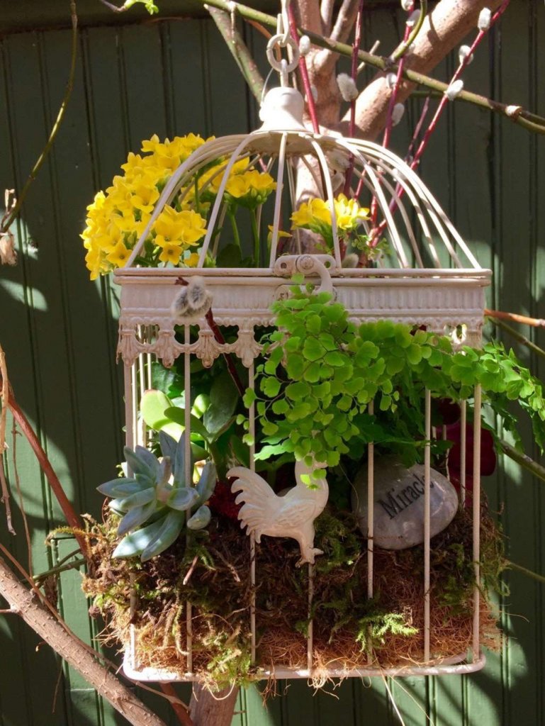 Birdcage Home Decor Ideas 