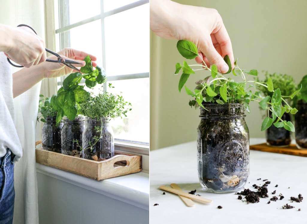 Window Sill Herb Garden Ideas