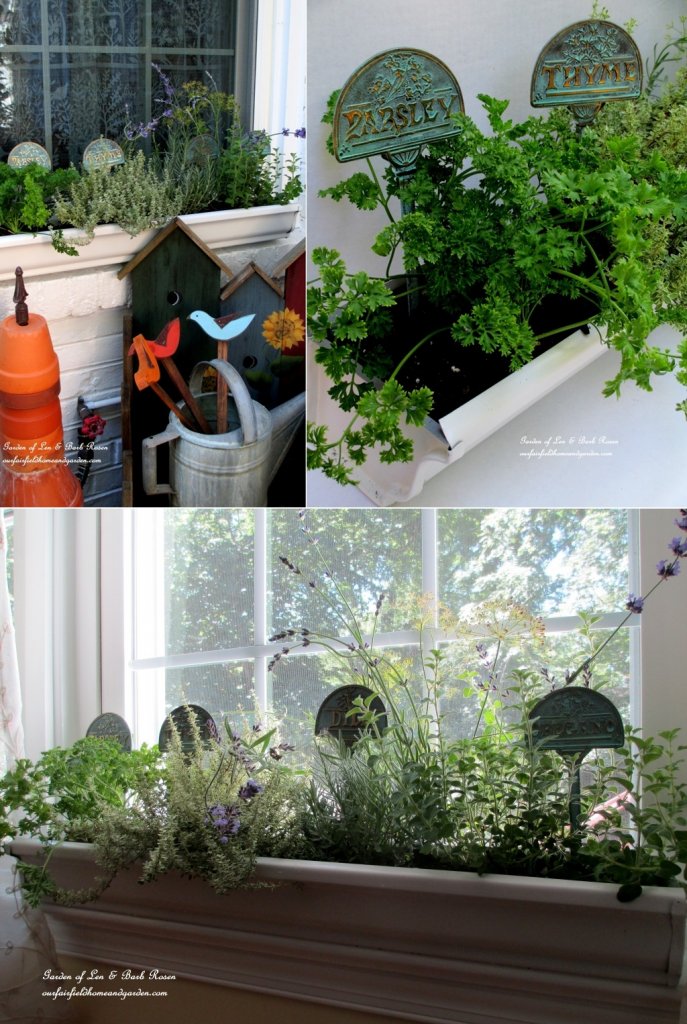 Window Sill Herb Garden Ideas