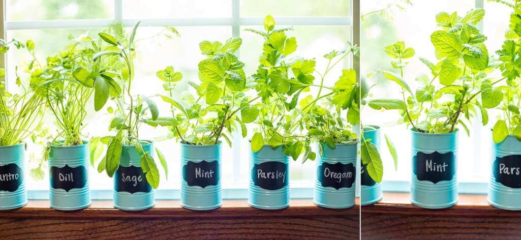 Window Sill Herb Garden Ideas