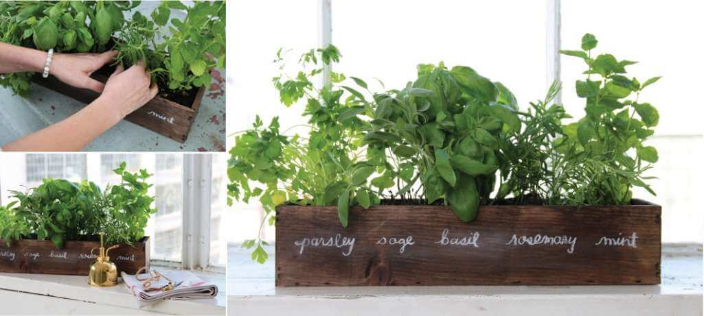 Window Sill Herb Garden Ideas